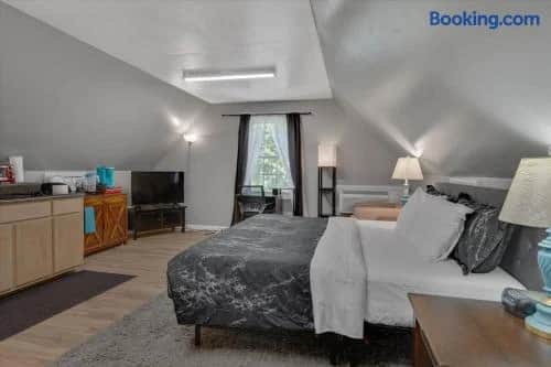 Private Pet-Friendly Studio | Chapel Hill–Durham - Image 3